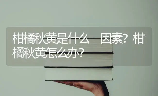 柑橘秋黄是什么 因素？柑橘秋黄怎么办？ | 蔬菜种植