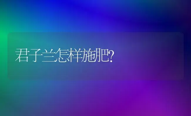 君子兰怎样施肥？ | 植物肥料