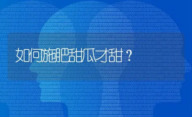 如何施肥甜瓜才甜？ | 蔬菜种植