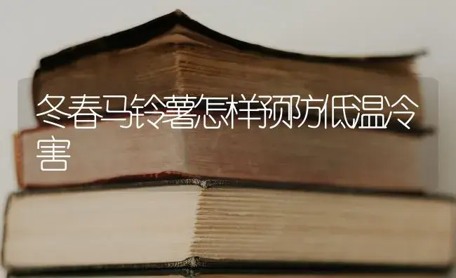 冬春马铃薯怎样预防低温冷害 | 蔬菜种植