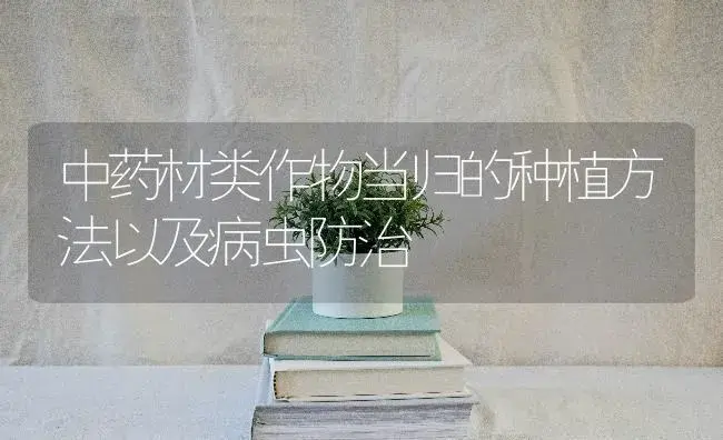 中药材类作物当归的种植方法以及病虫防治 | 植物病虫害