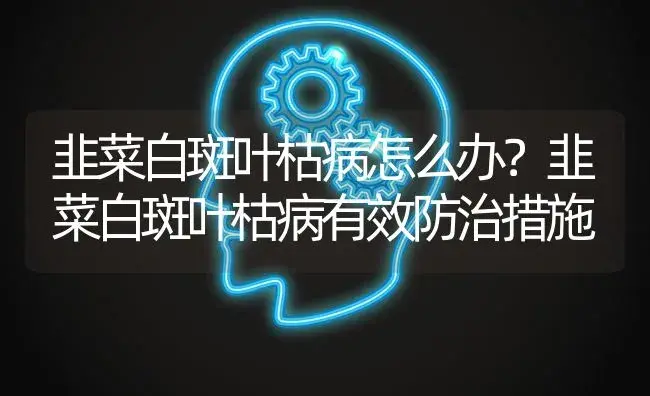 韭菜白斑叶枯病怎么办？韭菜白斑叶枯病有效防治措施 | 蔬菜种植