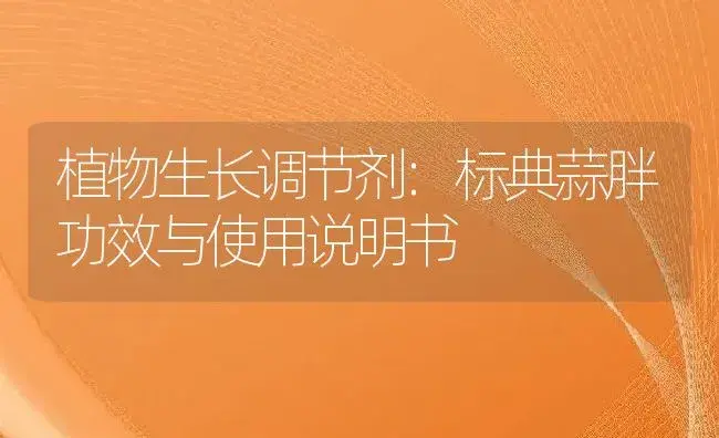 植物生长调节剂：标典蒜胖 | 适用防治对象及农作物使用方法说明书 | 植物农药