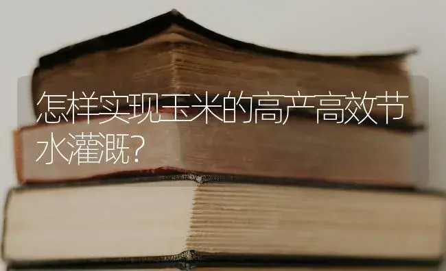 怎样实现玉米的高产高效节水灌溉？ | 蔬菜种植