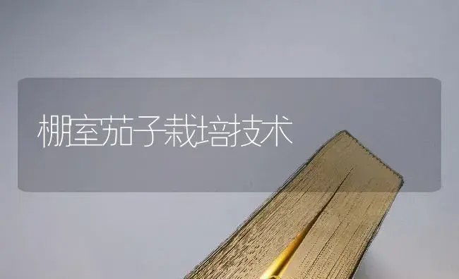 棚室茄子栽培技术 | 蔬菜种植