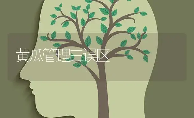 观赏南瓜怎样盆栽，盆栽观赏南瓜注意要点 | 蔬菜种植