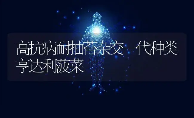 无公害樱桃萝卜施肥有妙招 | 蔬菜种植