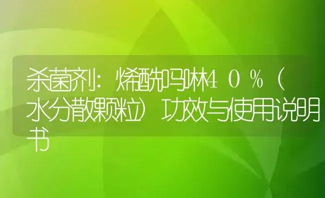 杀菌剂：烯酰吗啉40%(水分散颗粒) | 适用防治对象及农作物使用方法说明书 | 植物农药