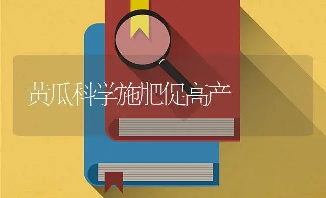 黄瓜科学施肥促高产 | 蔬菜种植