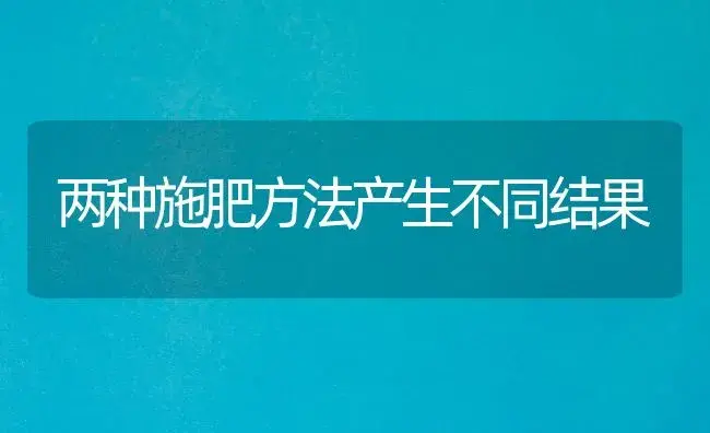 两种施肥方法产生不同结果 | 植物肥料