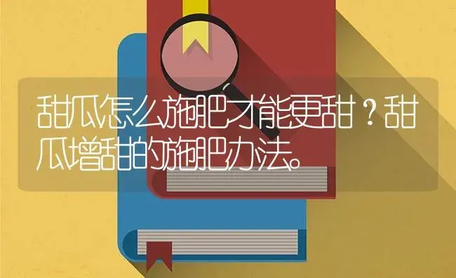 甜瓜怎么施肥才能更甜？甜瓜增甜的施肥办法。 | 蔬菜种植