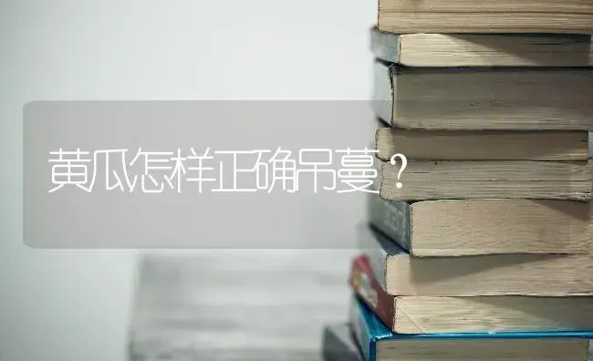 柑橘白粉虱症状有哪些？柑橘白粉虱用药防治和治疗办法。 | 蔬菜种植