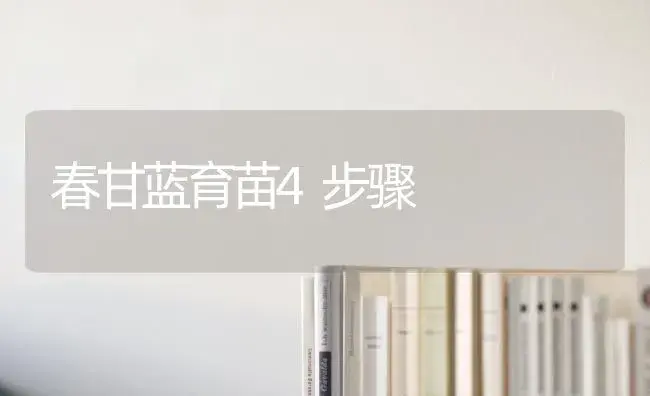 春甘蓝育苗4步骤 | 蔬菜种植