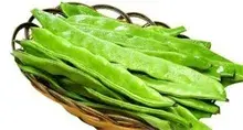 白扁豆的功效与作用及简单的食用方法