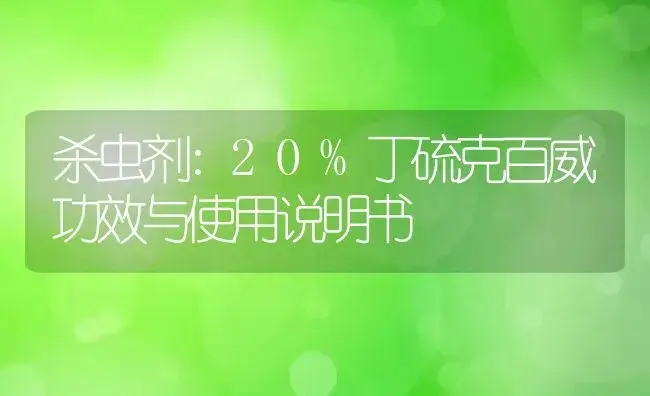 杀虫剂：20%丁硫克百威 | 适用防治对象及农作物使用方法说明书 | 植物农药