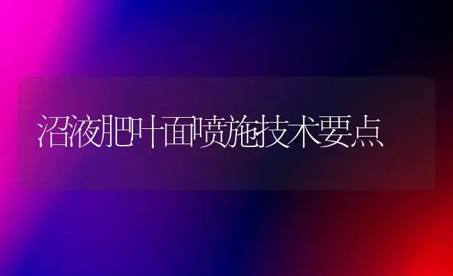 沼液肥叶面喷施技术要点 | 植物肥料