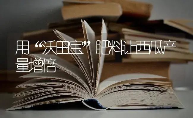 用“沃田宝”肥料让西瓜产量增倍 | 蔬菜种植