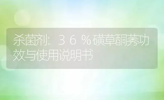 杀菌剂：36%磺草酮莠 | 适用防治对象及农作物使用方法说明书 | 植物农药