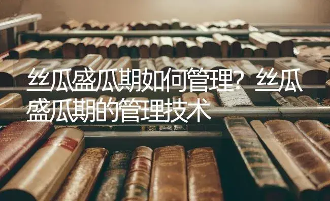 丝瓜盛瓜期如何管理？丝瓜盛瓜期的管理技术 | 蔬菜种植