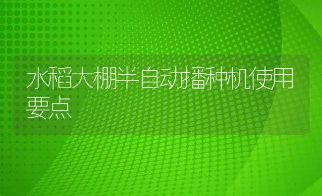 水稻大棚半自动播种机使用要点 | 农资农机