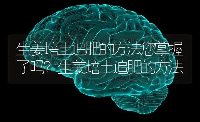 生姜培土追肥的方法您掌握了吗？生姜培土追肥的方法 | 蔬菜种植