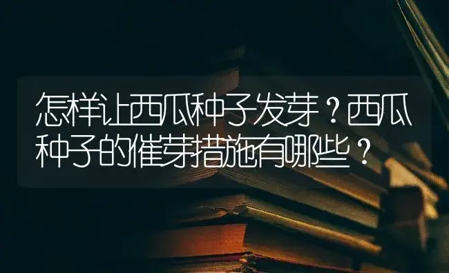 怎样让西瓜种子发芽？西瓜种子的催芽措施有哪些？ | 蔬菜种植