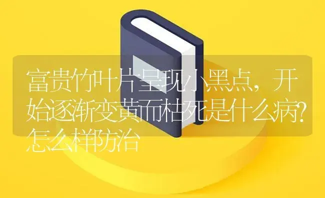 富贵竹叶片呈现小黑点，开始逐渐变黄而枯死是什么病？怎么样防治 | 植物病虫害