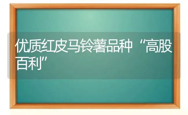 双孢菇主要病虫害综合防治技术 | 植物病虫害