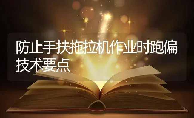 防止手扶拖拉机作业时跑偏技术要点 | 农资农机