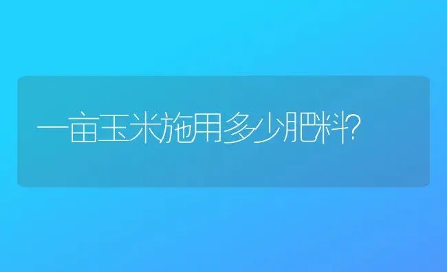 一亩玉米施用多少肥料？ | 植物肥料