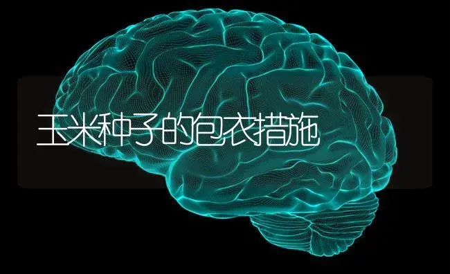 玉米种子的包衣措施 | 蔬菜种植