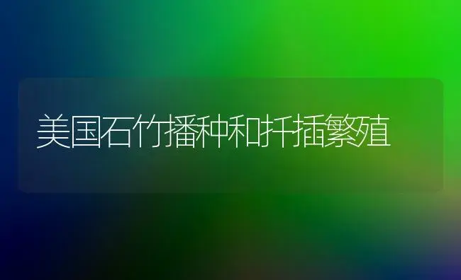 小拱棚春早熟甘蓝定植后为什么在肥水管理上要以促为主？ | 植物肥料