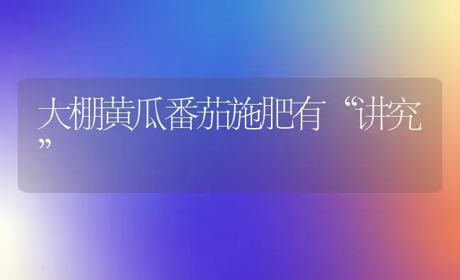 大棚黄瓜番茄施肥有“讲究” | 植物肥料