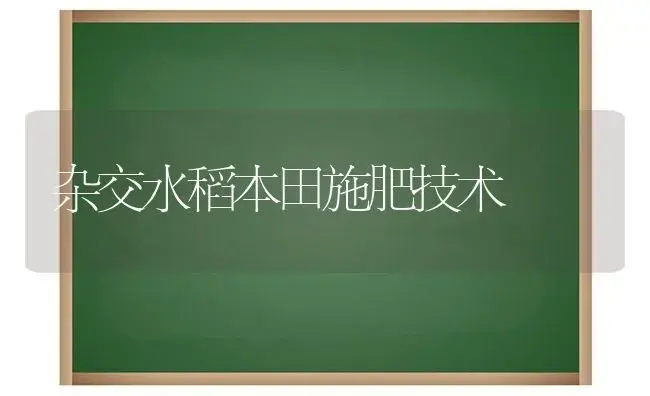 杂交水稻本田施肥技术 | 植物肥料