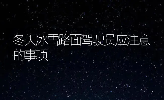 冬天冰雪路面驾驶员应注意的事项 | 农资农机