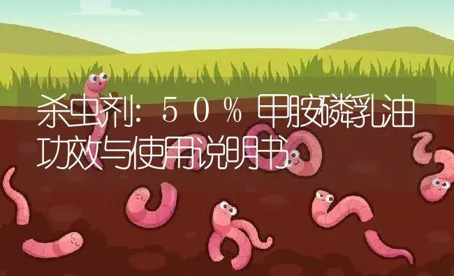 杀虫剂：50%甲胺磷乳油 | 适用防治对象及农作物使用方法说明书 | 植物农药