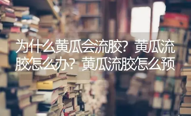 为什么黄瓜会流胶？黄瓜流胶怎么办？黄瓜流胶怎么预 | 蔬菜种植