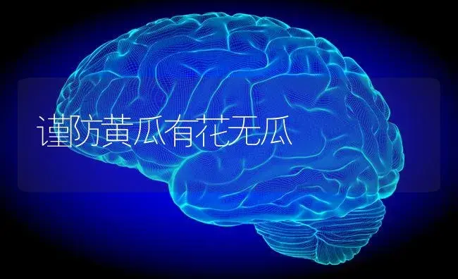 谨防黄瓜有花无瓜 | 蔬菜种植