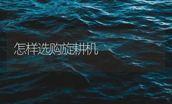 怎样选购旋耕机 | 农资农机