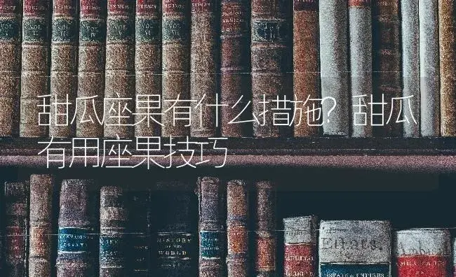 甜瓜座果有什么措施？甜瓜有用座果技巧 | 蔬菜种植