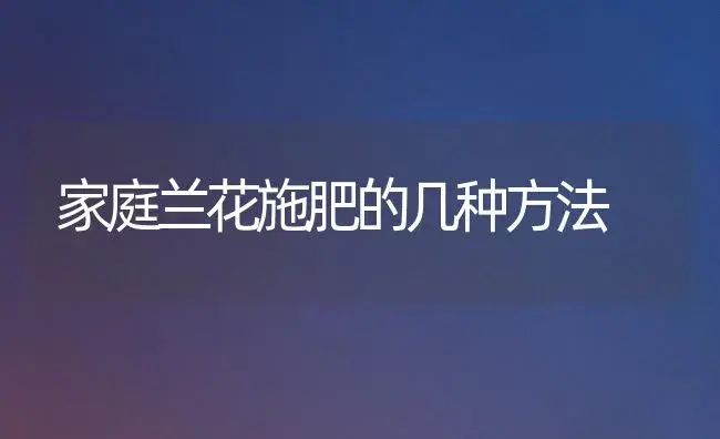 家庭兰花施肥的几种方法 | 植物肥料