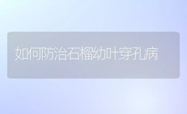 如何防治石榴幼叶穿孔病 | 植物病虫害