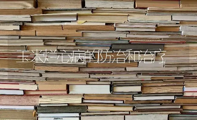 玉米烂心病的防治和治疗 | 蔬菜种植