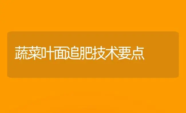 蔬菜叶面追肥技术要点 | 植物肥料