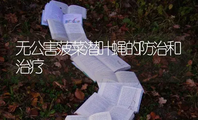 无公害菠菜潜叶蝇的防治和治疗 | 蔬菜种植