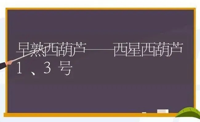 “鲁青一号B”无籽西瓜施肥整地与定植　　 | 植物肥料