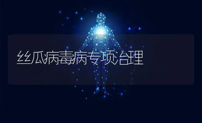 丝瓜病毒病专项治理 | 蔬菜种植