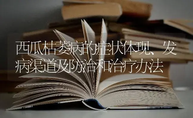 西瓜枯萎病的症状体现、发病渠道及防治和治疗办法 | 蔬菜种植