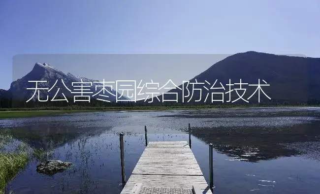 无公害枣园综合防治技术 | 植物病虫害