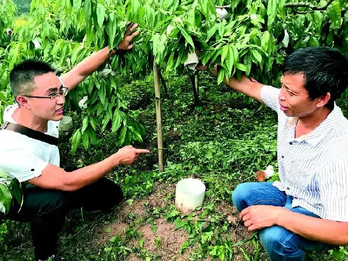 节省10%的肥料！果树节水节肥增产增收有高招